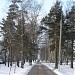 Аллея Победы в городе Домодедово