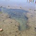 Piscinas Naturais - Mapa do Brasil na Ipojuca city