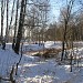 Никитский овраг в городе Домодедово