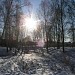 Никитский овраг в городе Домодедово