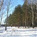 Никитский овраг в городе Домодедово