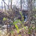 Lexington Mill Pond dam  in Lexington, South Carolina city