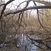 Малый пруд в городе Москва