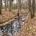 Кольцевой пруд в городе Москва