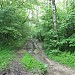 Просека от Новоясеневского тупика до луга на южной окраине Битцевского лесопарка в городе Москва