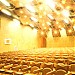 Teatro Nelson Rodrigues na Guarulhos city