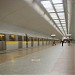Станция метро «Люблино» в городе Москва