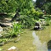 Японский садик в городе Сочи