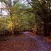 Poleski Park Narodowy (część główna)