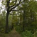 Просека от Ярославского шоссе до войсковой части в городе Москва