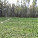 Поляна в городе Москва