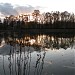 Большой Лосиноостровский пруд (пруд МГСУ) в городе Москва