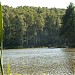 Pond