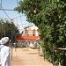  جامعة شندى - الادارة وكلية الطب   / تصوير الشريف في ميدنة شندي 