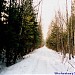 Просека от пруда Лось до МКАД в городе Москва