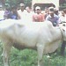 Mushola Nurul Rohim di kota Bekasi