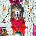 Arulmigu Muthu Mariamman Temple, Naarthamalai in Narthamalai city