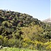 wadi el mdawar -  mdawar valley