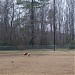 North Durham Dog Park in Durham, North Carolina city