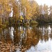 Пруд Торфяшка в городе Андреевка