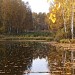 Пруд Торфяшка в городе Андреевка