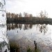 Пруд Торфяшка в городе Андреевка