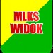 Boisko piłkarskie klubu Widok Skierniewice in Skierniewice city