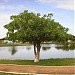 Parque Ecológico na Itaberaí city