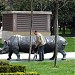 Rinoceronte en la ciudad de Vitoria - Gasteiz