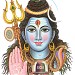 Silicet Fectri Nilakantha so. in Surendranagar city