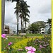 Drogaria São Francisco na Itaberaí city