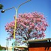 Feira Coberta - Espaço municipal de eventos na Itaberaí city