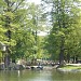 Lacul Mare în Craiova oraş