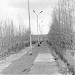 Центральная аллея  в городе Державинск
