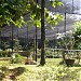 Taman Koleksi Pohon langka dan Nursery di kota Depok