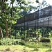 Taman Koleksi Pohon langka dan Nursery di kota Depok