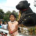 Nandi Bull  in Mysuru city