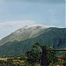 Mount Kanlaon Natural Park in Murcia city