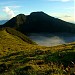 Mount Kanlaon Natural Park in Murcia city