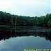 Собачий пруд (Совхозный № 1) в городе Москва