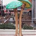 Mellow Mushroom in Durham, North Carolina city
