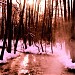 Выход Липитинского ручья из коллектора в городе Москва