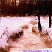 Выход Липитинского ручья из коллектора в городе Москва
