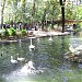 Kuğulu Park in Ankara Büyükşehir Belediyesi city