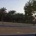 The One Hundred Palm Trees Park in Al Riyadh city