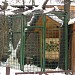 Здесь находился вольер с двумя филинами в городе Москва