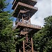 Wiezyca hill (329 meters above sea level)