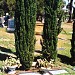Final Resting place of Carl 