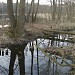 Stawy Przysieckie in Przysiek city