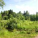 СНТ «Дружба» в городе Софрино